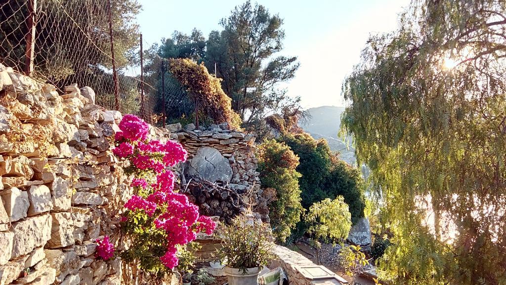 Emporio Otel Simi Dış mekan fotoğraf